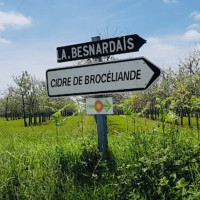 Cidre Fermier du Pays de Brocéliande logo
