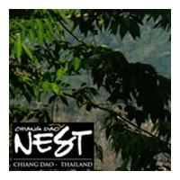 Chiang Dao Nest 1 logo
