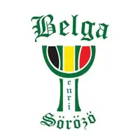 Belgian Brasserie Henri logo