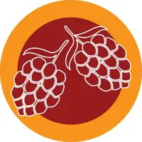 myBrewerytap.com logo