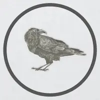 The Raven Bar logo