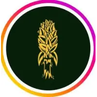 Hop Rocket logo